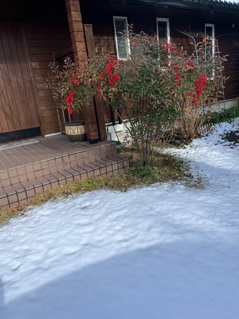 甲賀市は雪がすこし積もりました